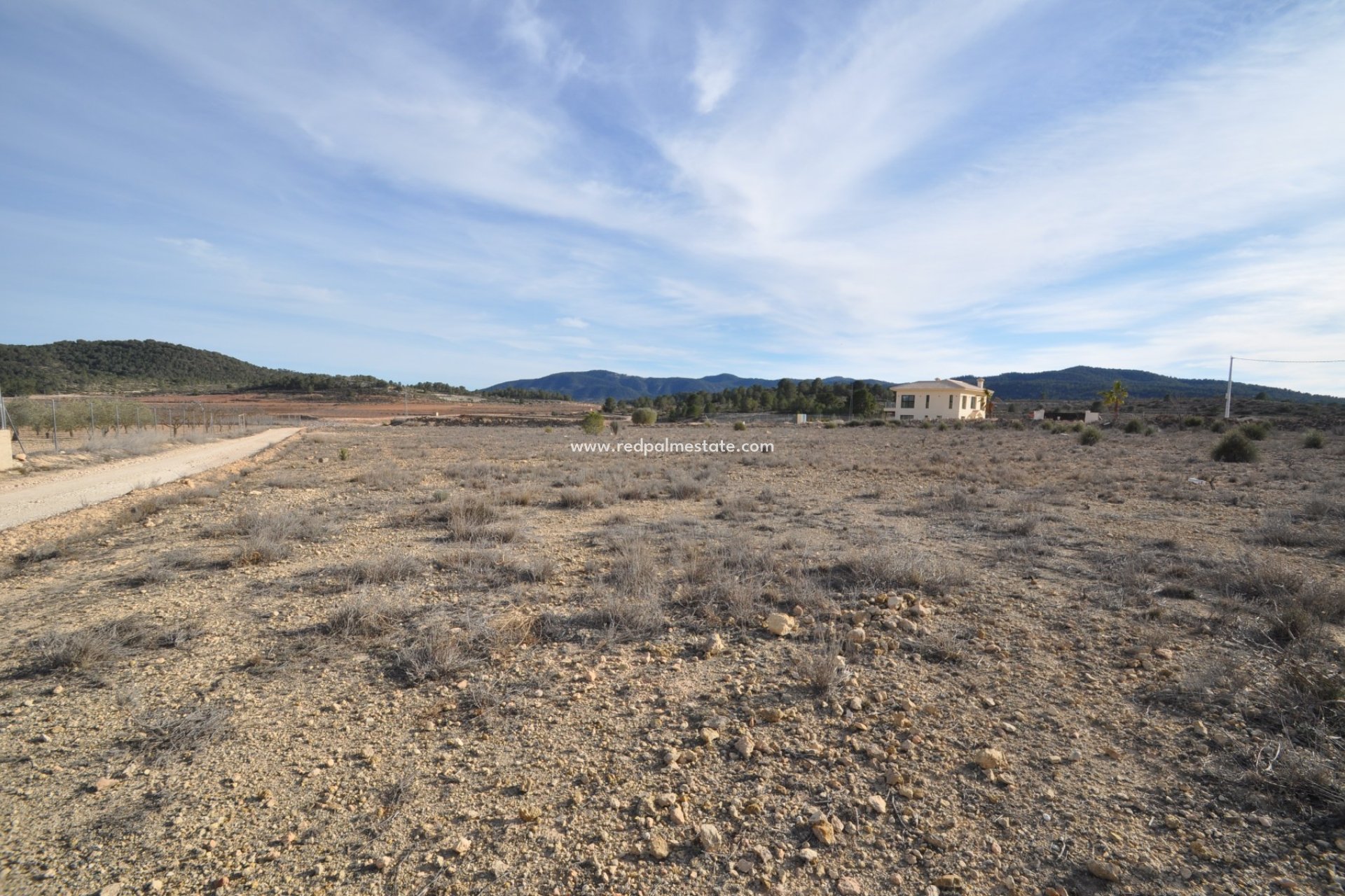 Reventa - Trama -
Pinoso - Inland