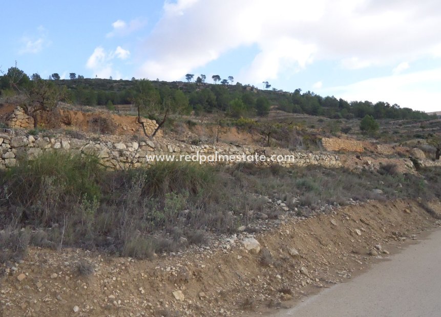 Reventa - Trama -
Pinoso - Inland