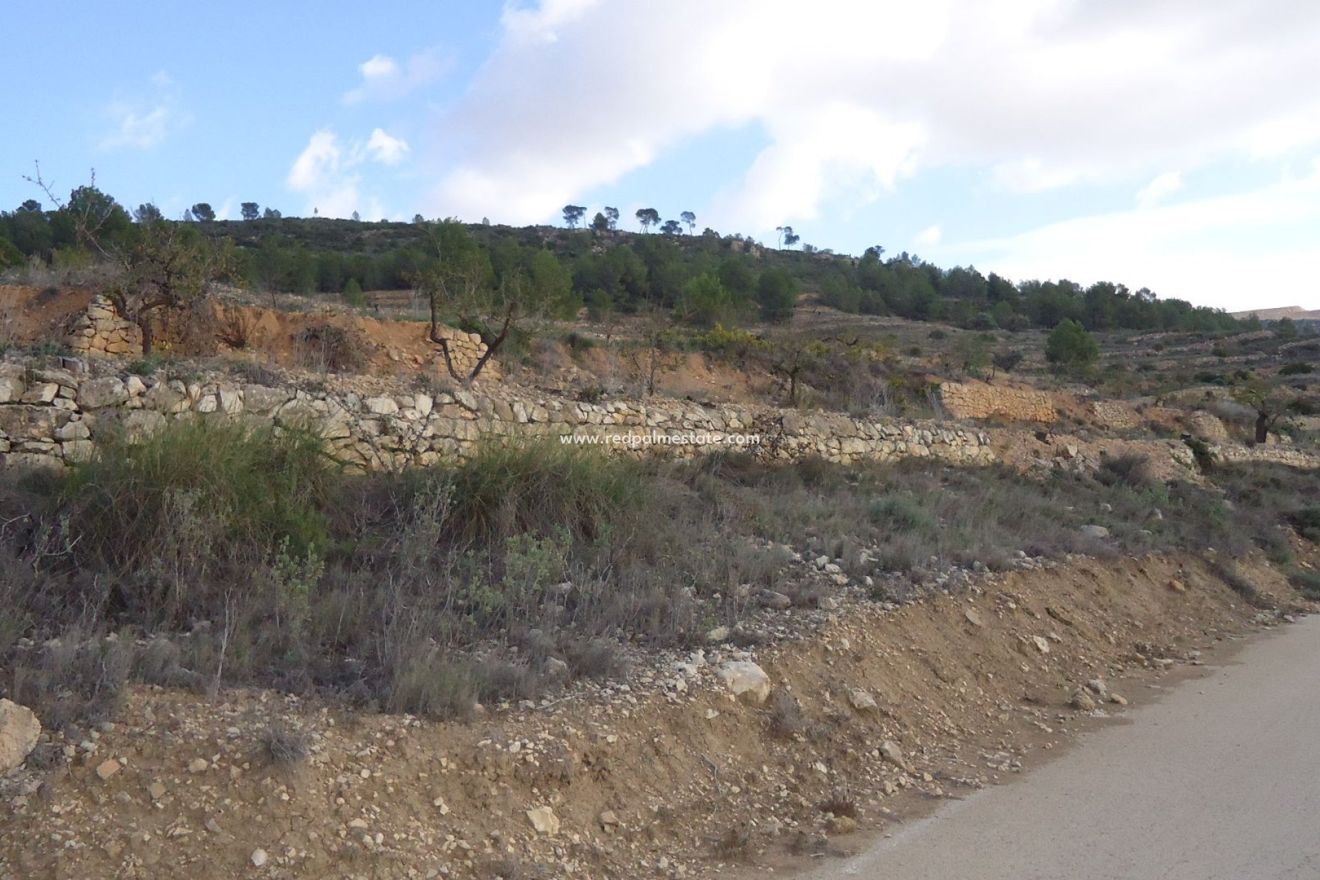 Reventa - Trama -
Pinoso - Inland