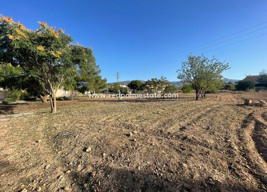 Reventa - Trama -
Pinoso - Inland