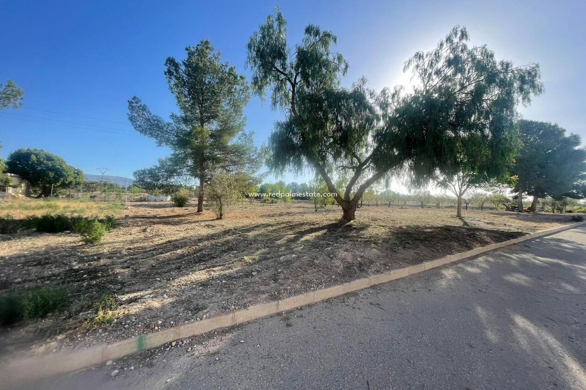 Reventa - Trama -
Pinoso - Inland