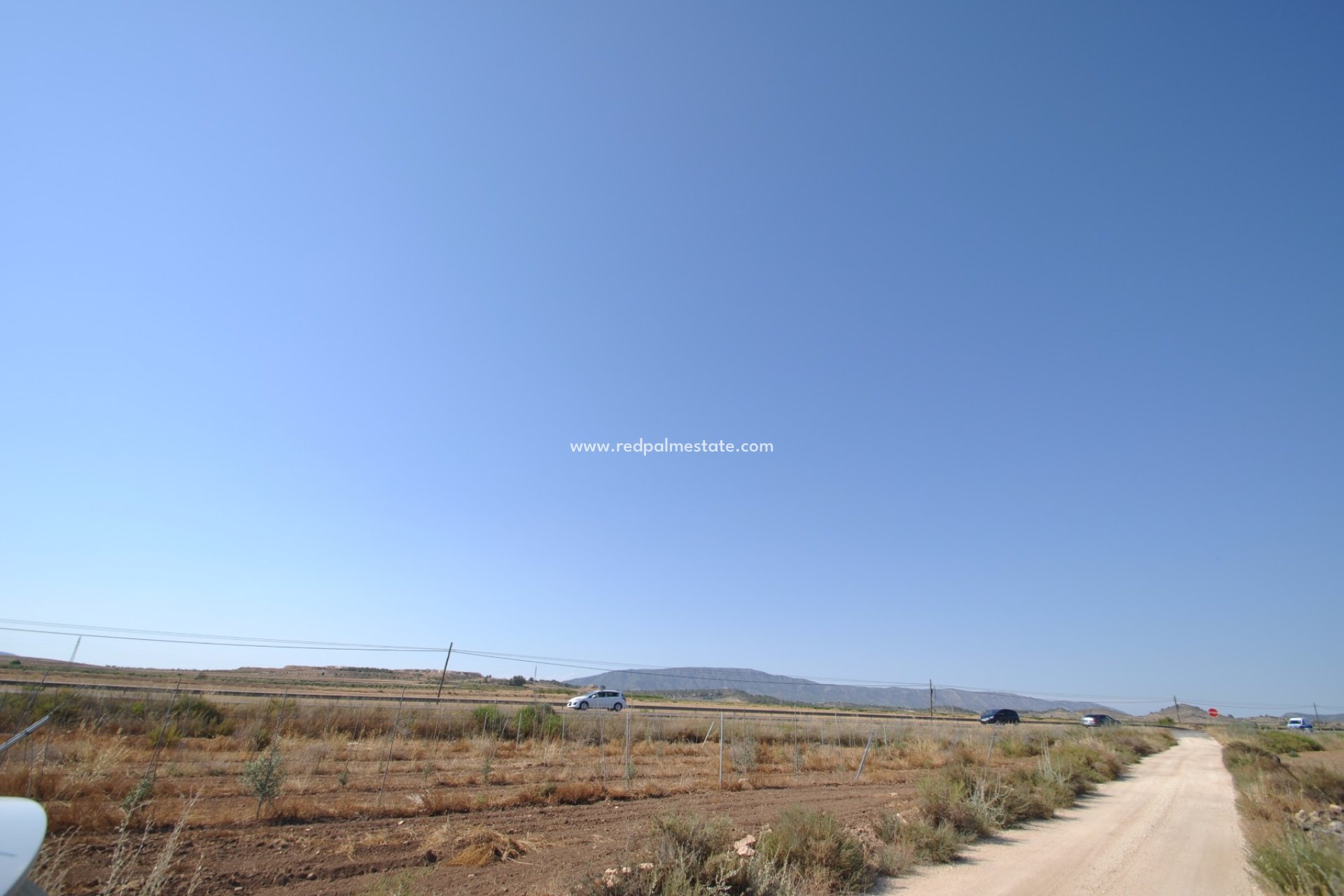 Reventa - Trama -
Pinoso - Inland