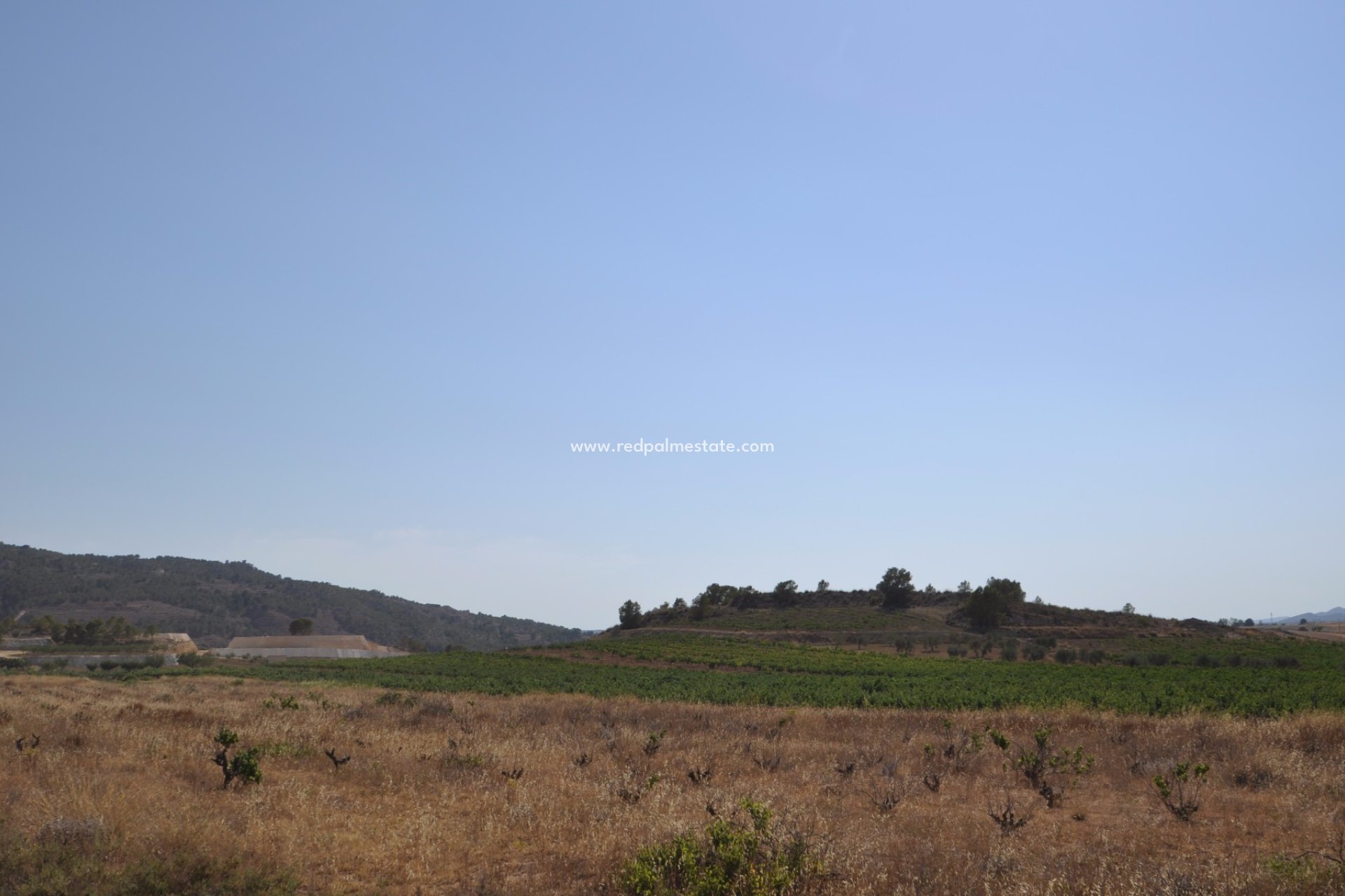 Reventa - Trama -
Pinoso - Inland