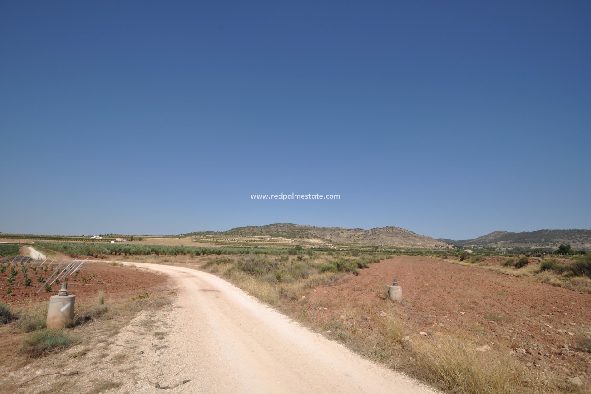 Reventa - Trama -
Pinoso - Inland