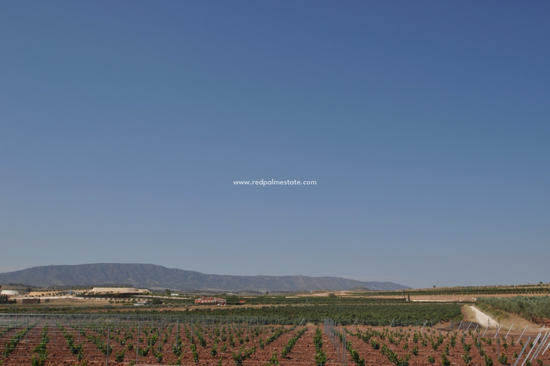 Reventa - Trama -
Pinoso - Inland