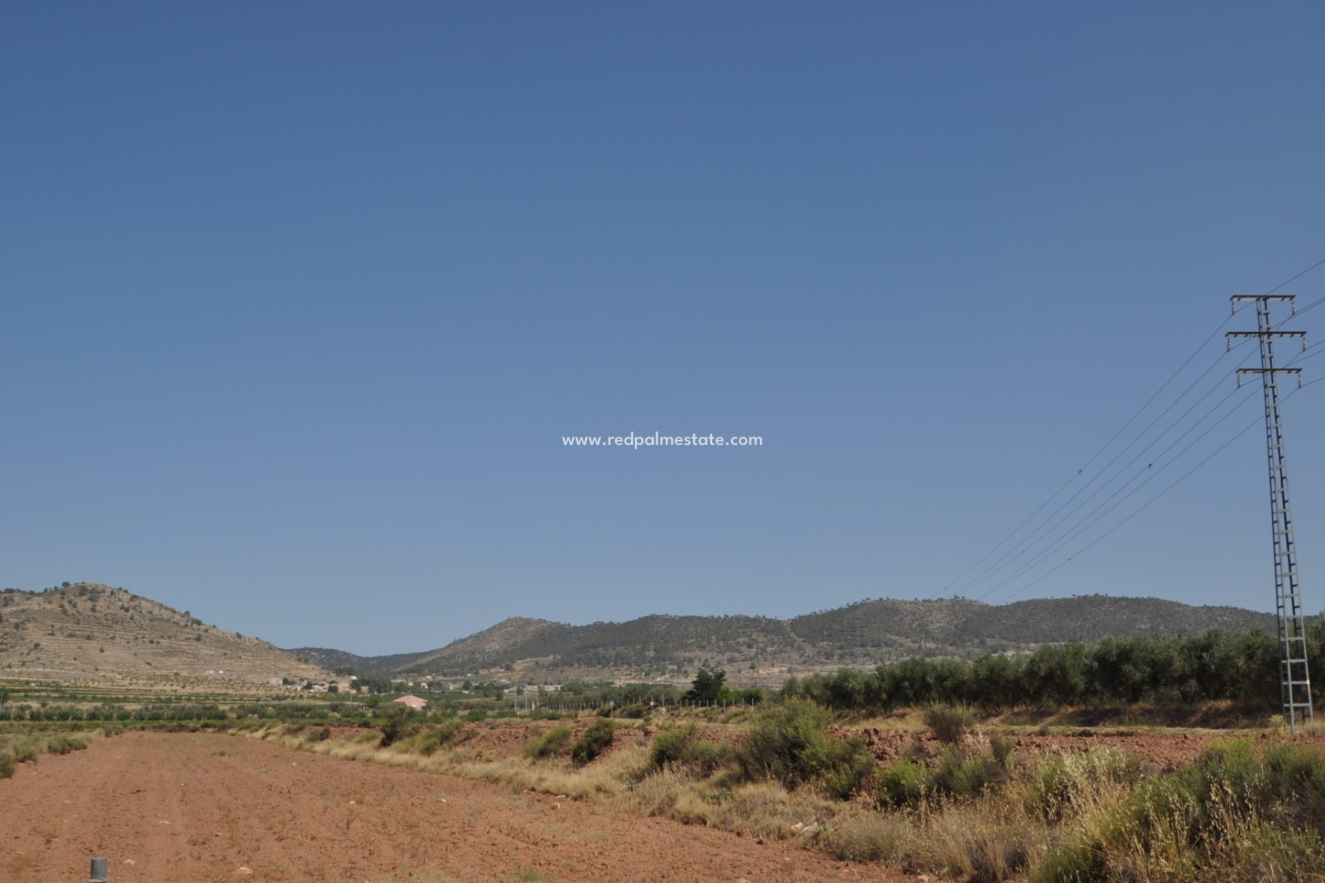 Reventa - Trama -
Pinoso - Inland