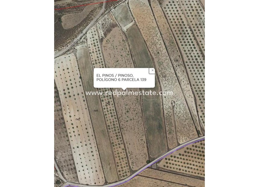 Reventa - Trama -
Pinoso - Inland