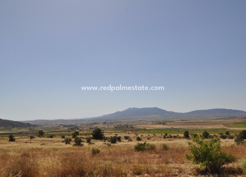 Reventa - Trama -
Pinoso - Inland