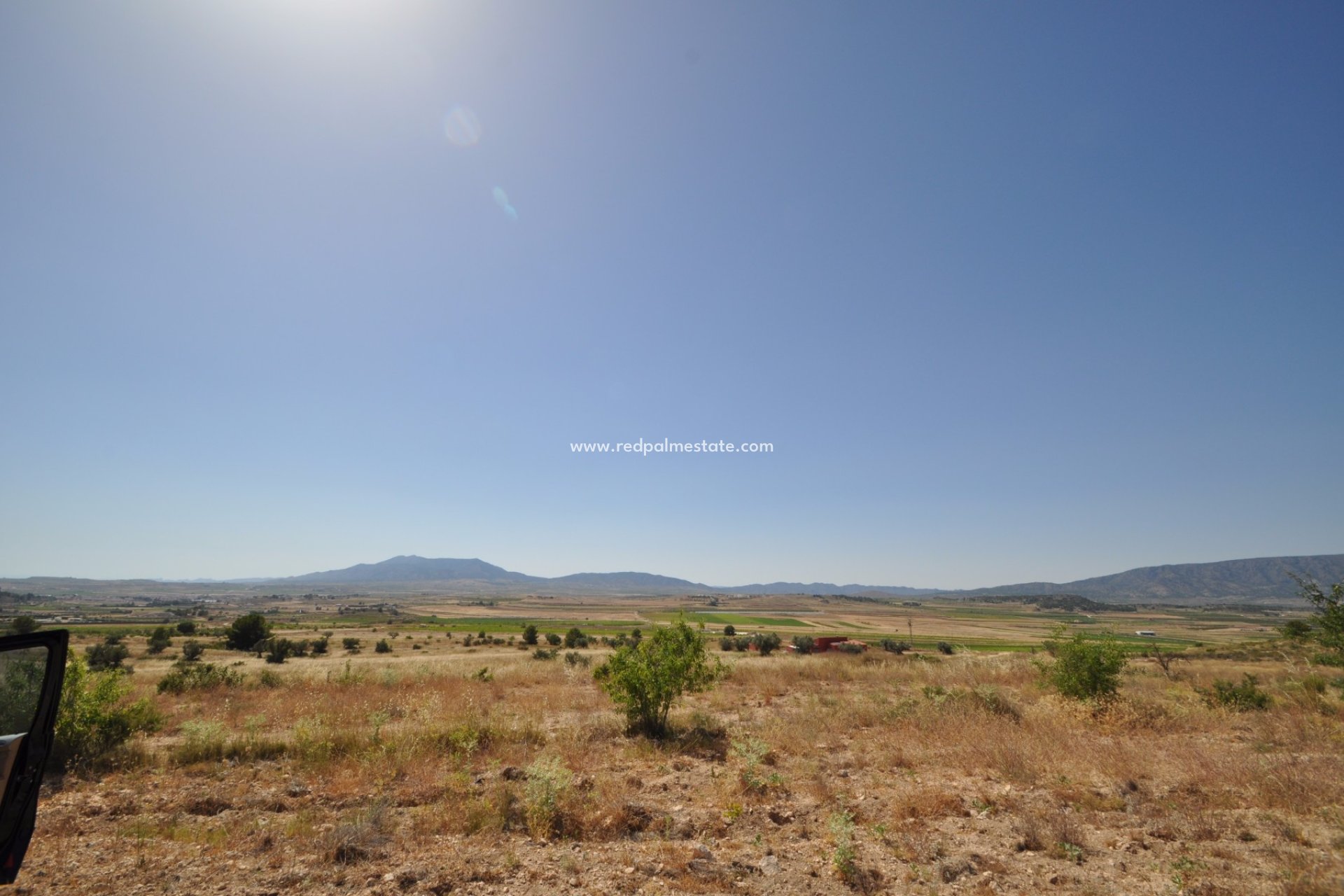 Reventa - Trama -
Pinoso - Inland