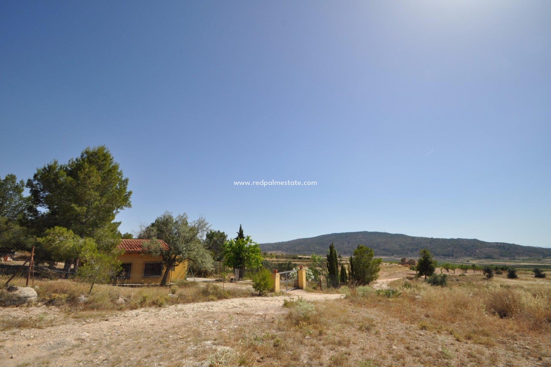 Reventa - Trama -
Pinoso - Inland