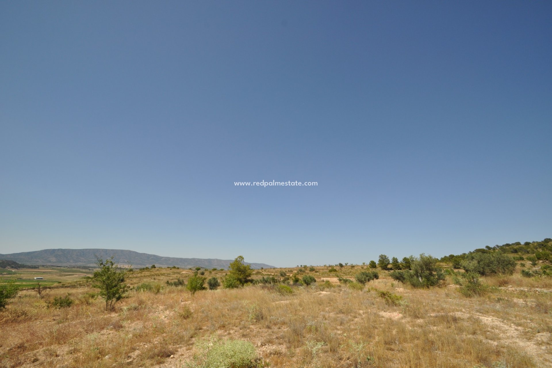 Reventa - Trama -
Pinoso - Inland