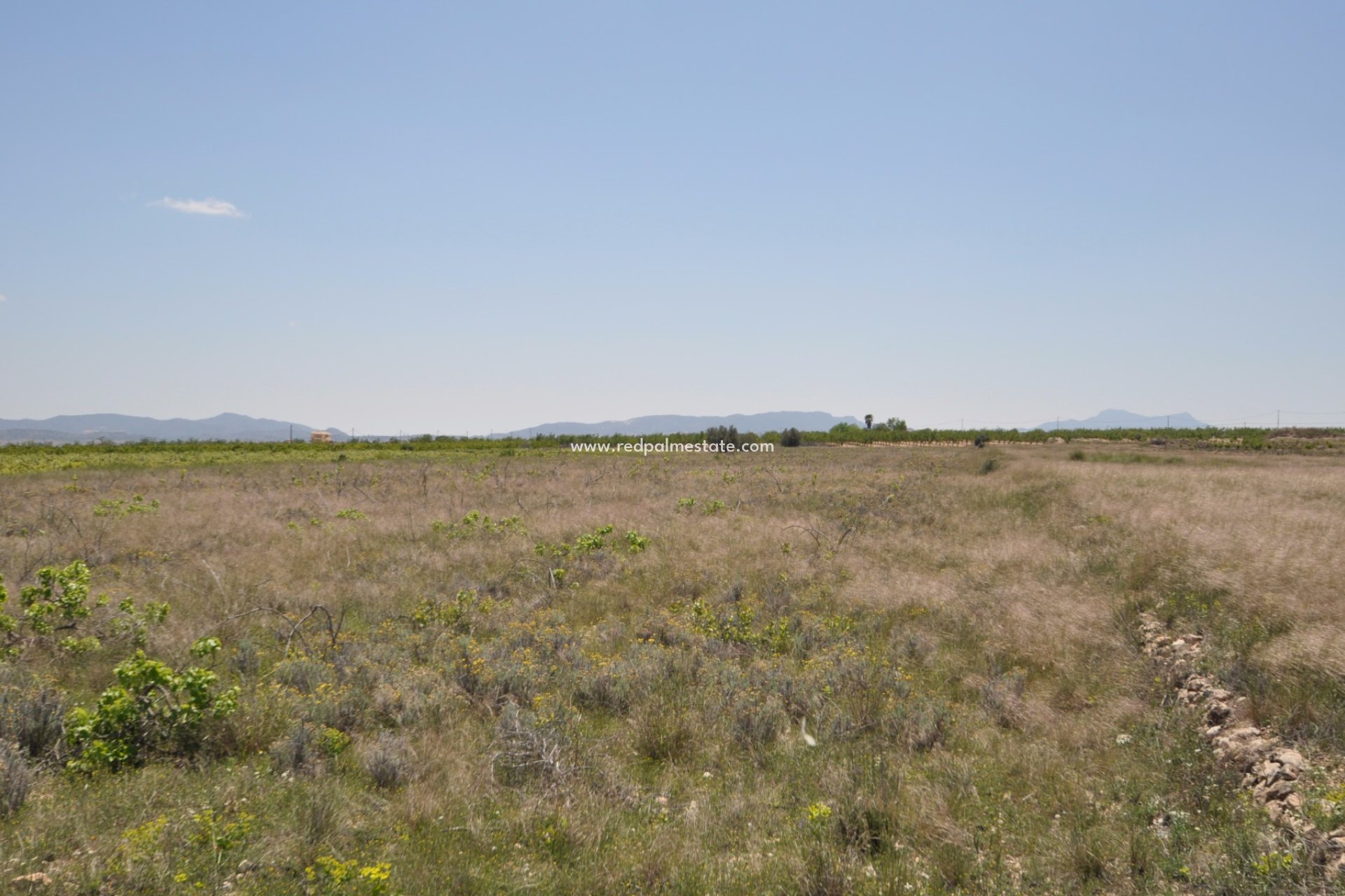 Reventa - Trama -
Pinoso - Inland