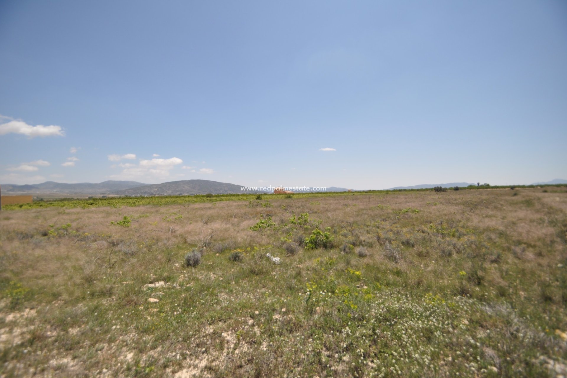 Reventa - Trama -
Pinoso - Inland