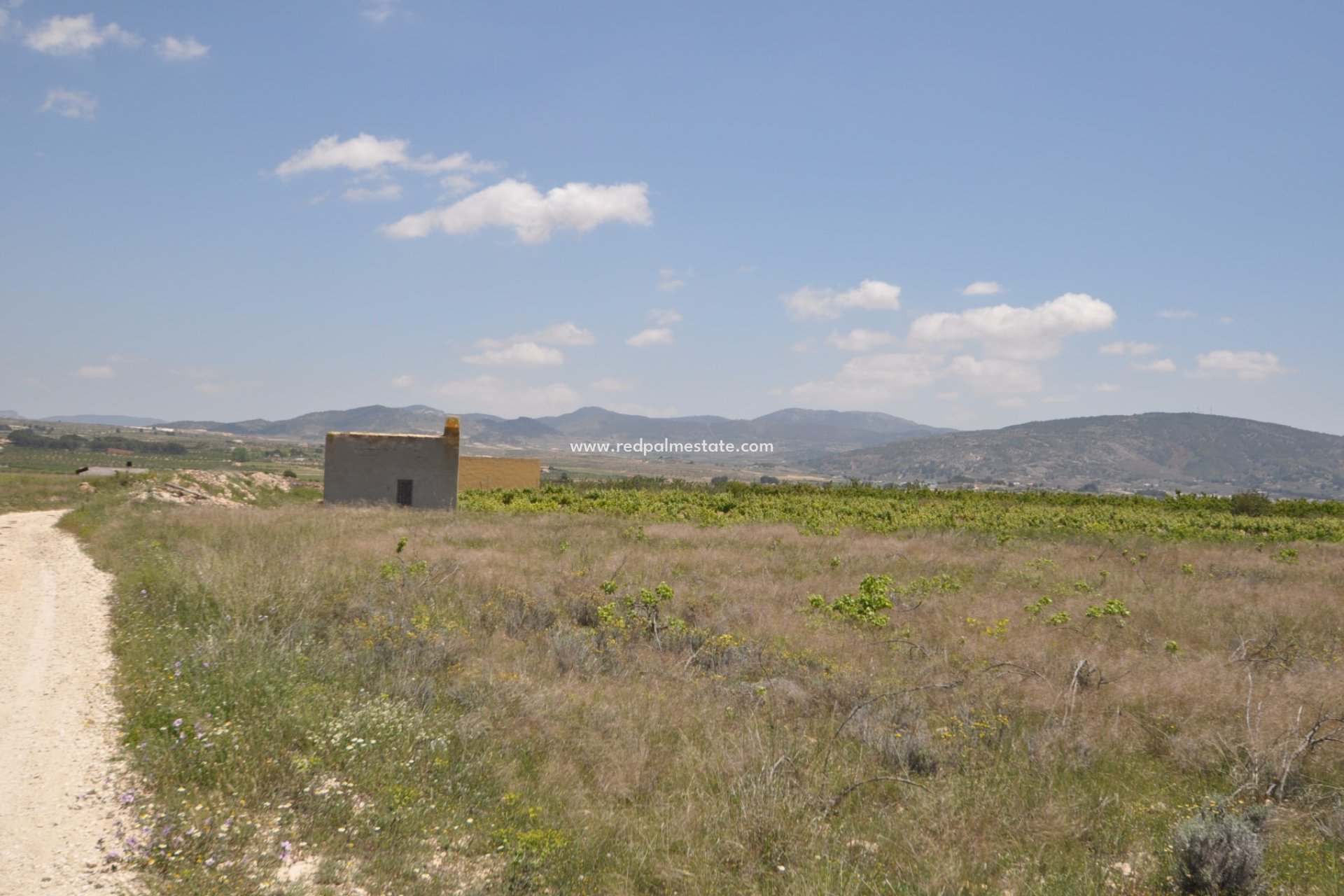 Reventa - Trama -
Pinoso - Inland