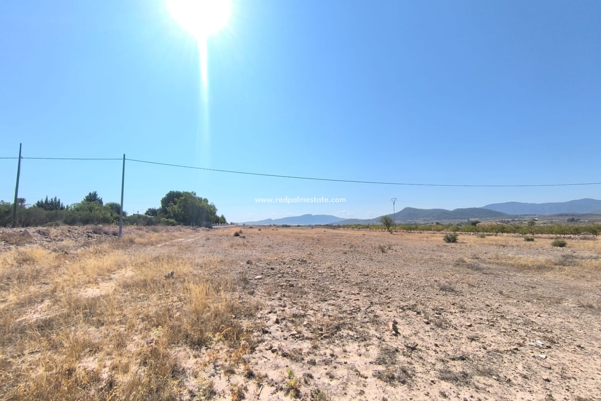 Reventa - Trama -
Pinoso - Inland