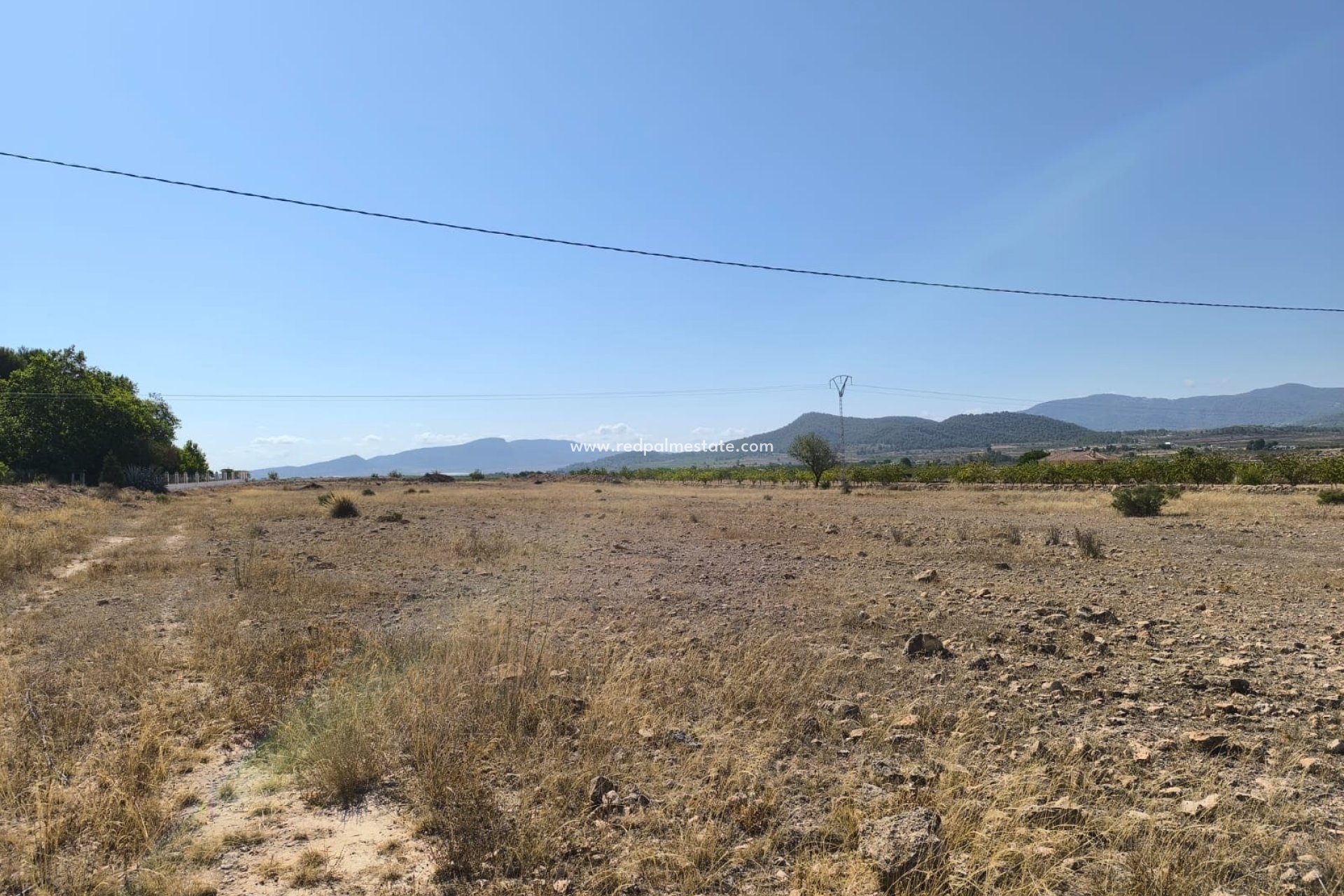 Reventa - Trama -
Pinoso - Inland