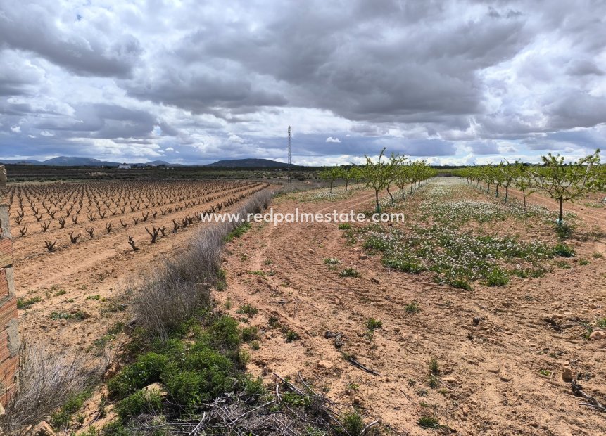 Reventa - Trama -
Pinoso - Inland