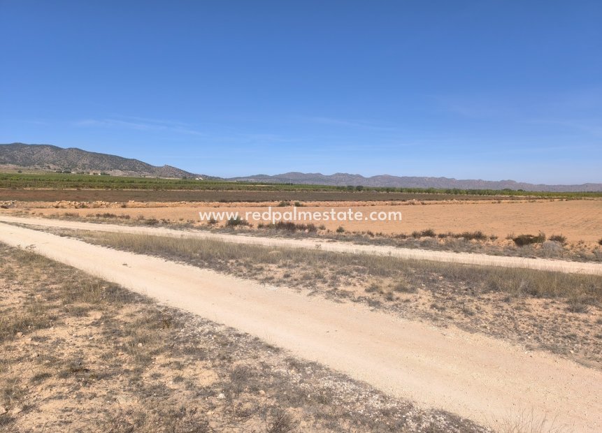 Reventa - Trama -
Pinoso - Inland