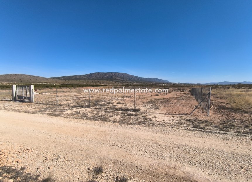 Reventa - Trama -
Pinoso - Inland