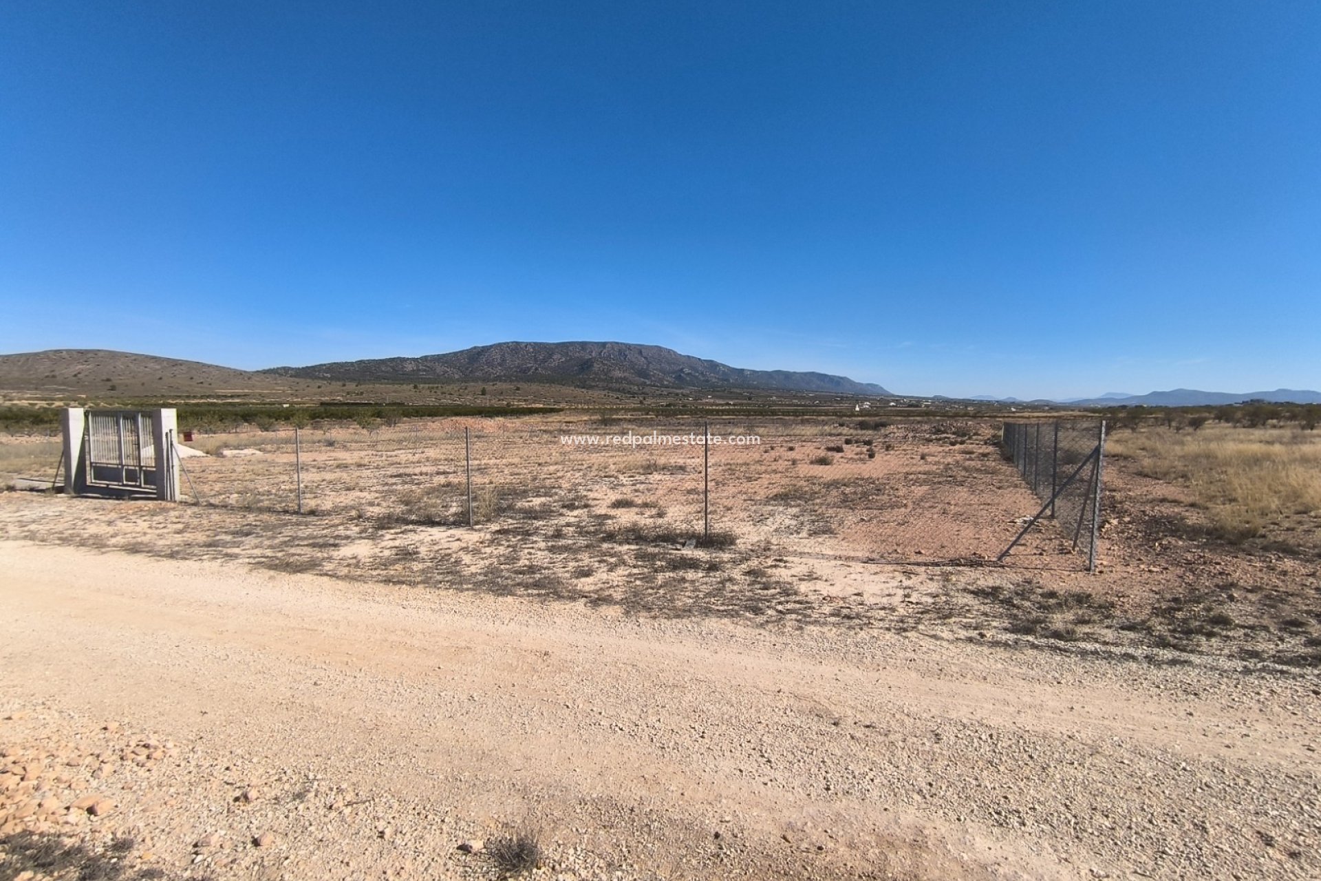 Reventa - Trama -
Pinoso - Inland