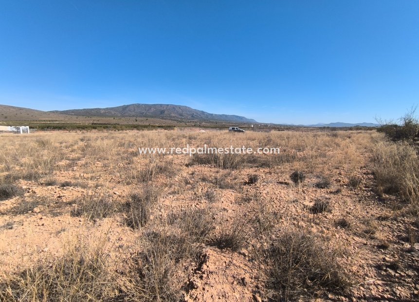 Reventa - Trama -
Pinoso - Inland