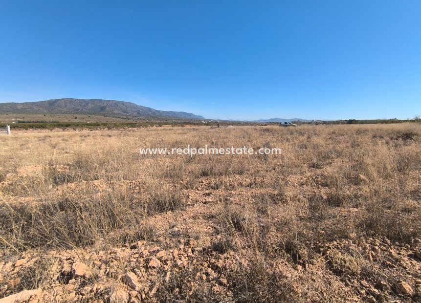 Reventa - Trama -
Pinoso - Inland