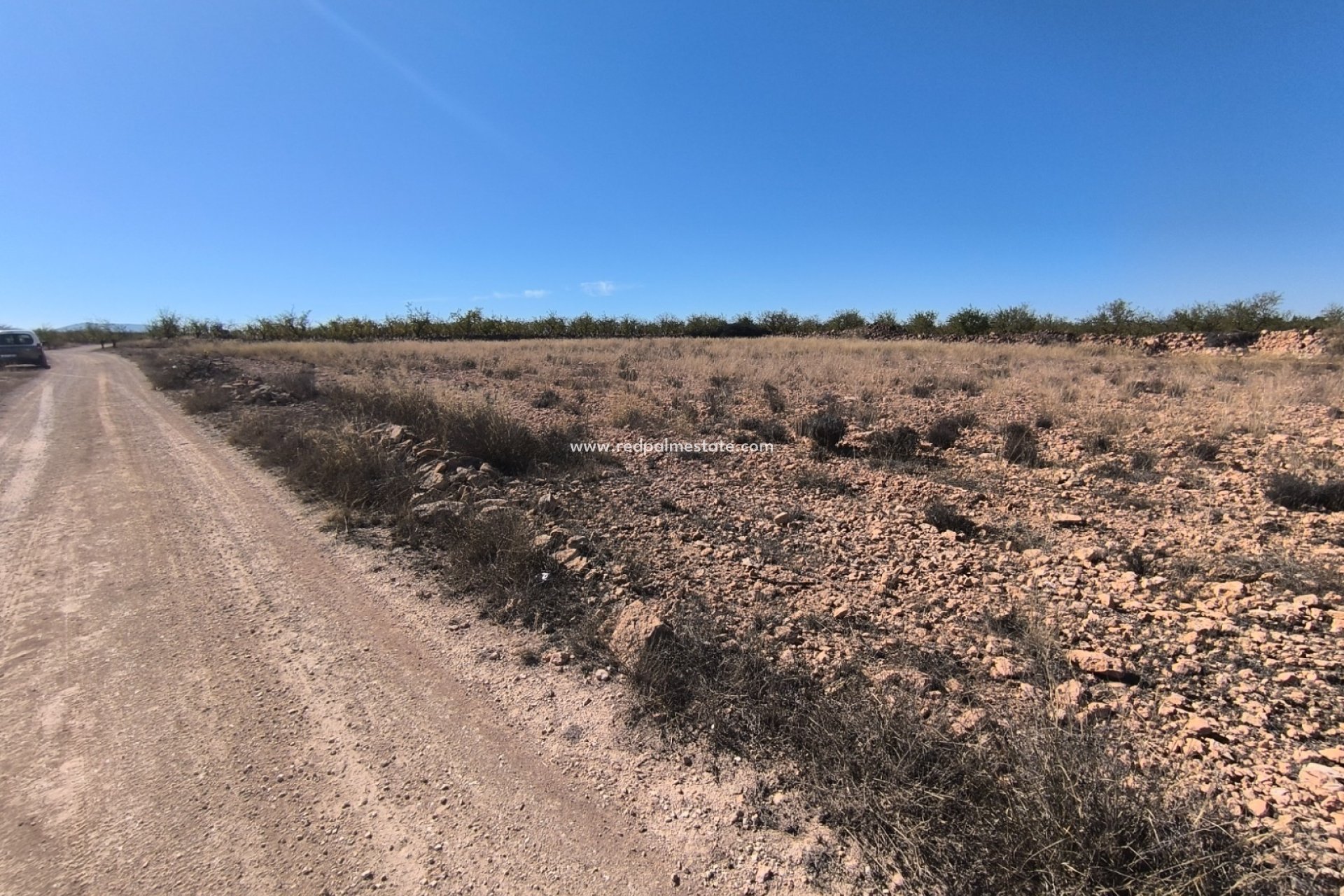 Reventa - Trama -
Pinoso - Inland