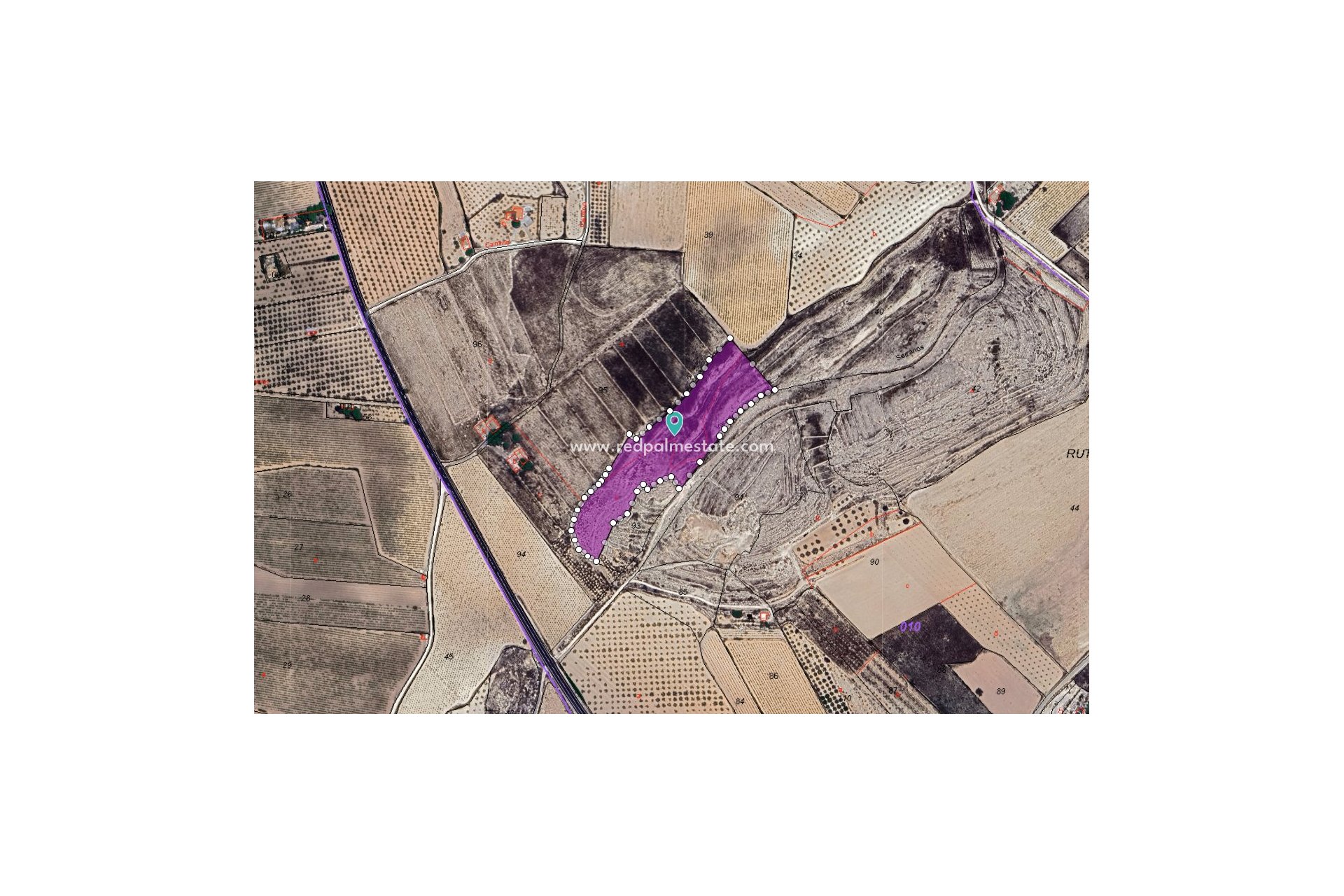 Reventa - Trama -
Pinoso - Inland