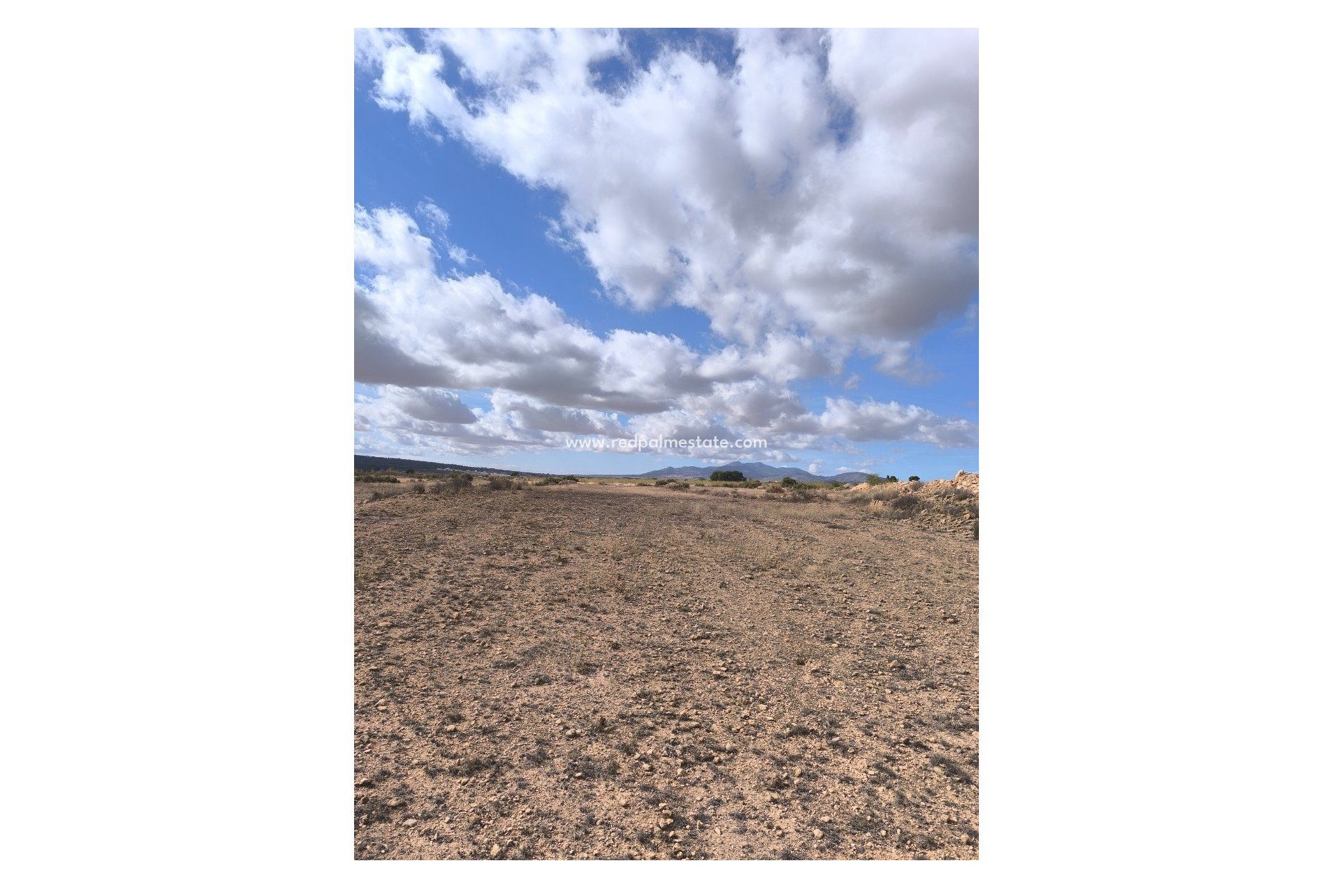 Reventa - Trama -
Pinoso - Inland