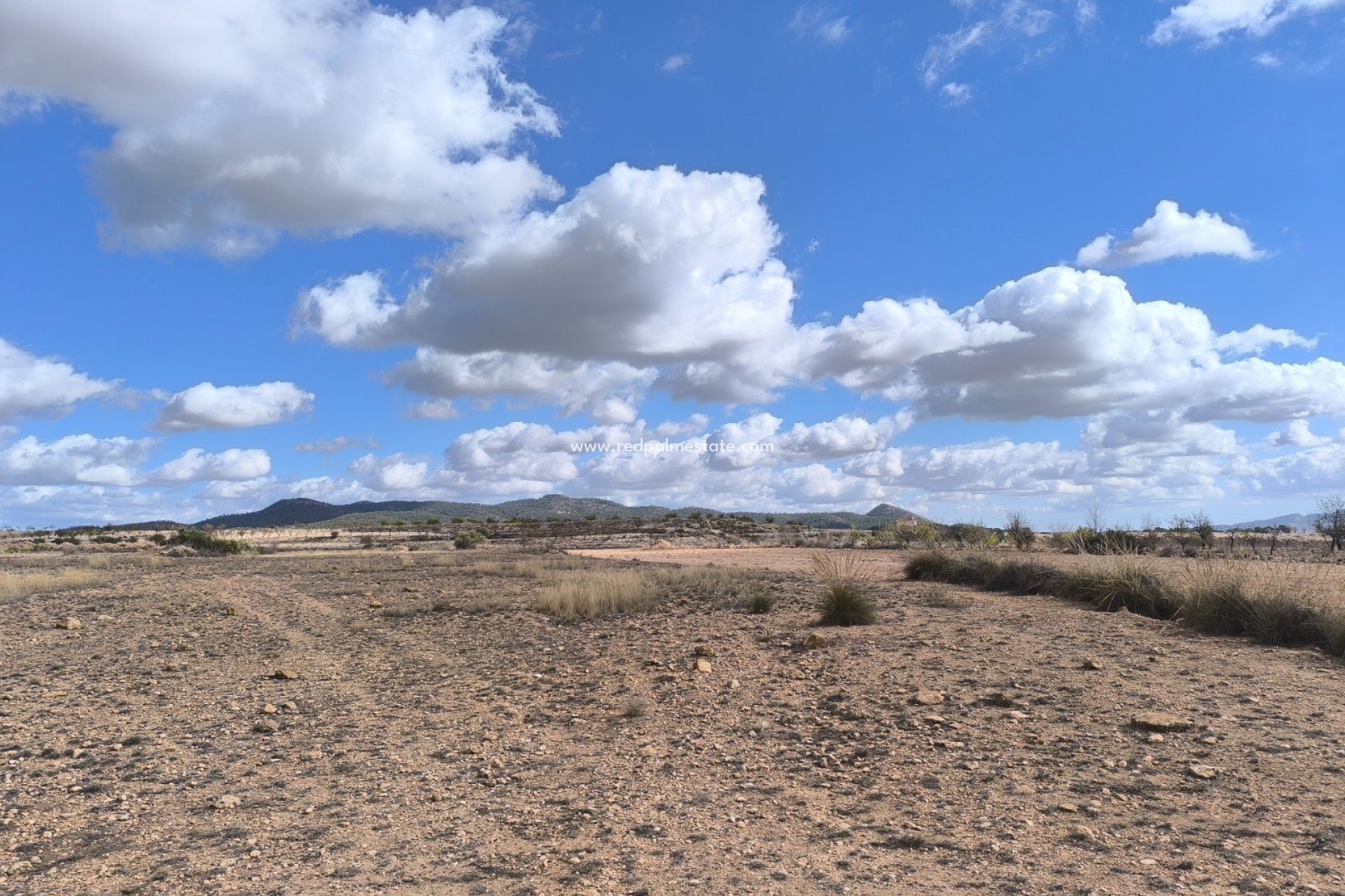 Reventa - Trama -
Pinoso - Inland