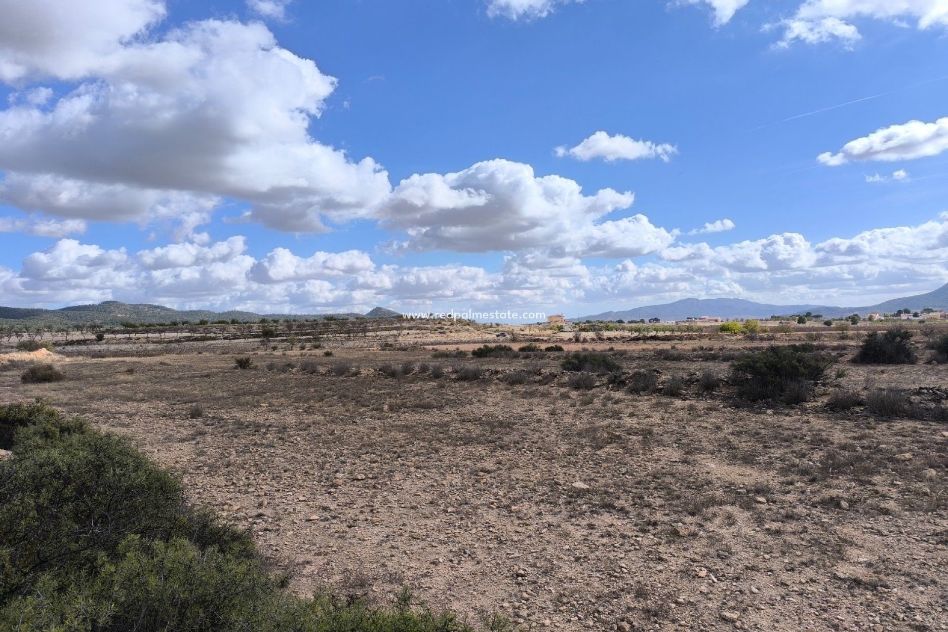 Reventa - Trama -
Pinoso - Inland