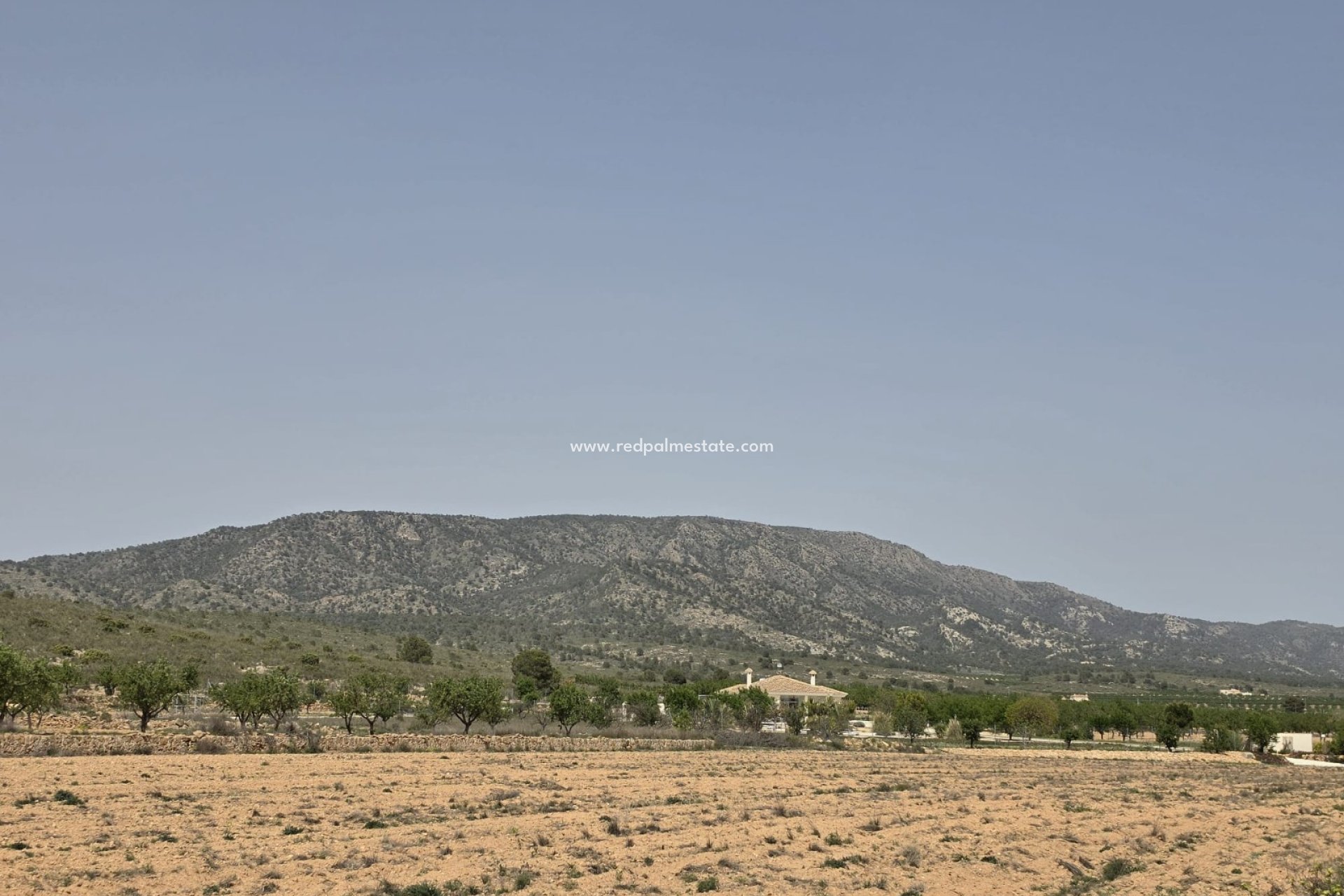 Reventa - Trama -
Pinoso - Inland