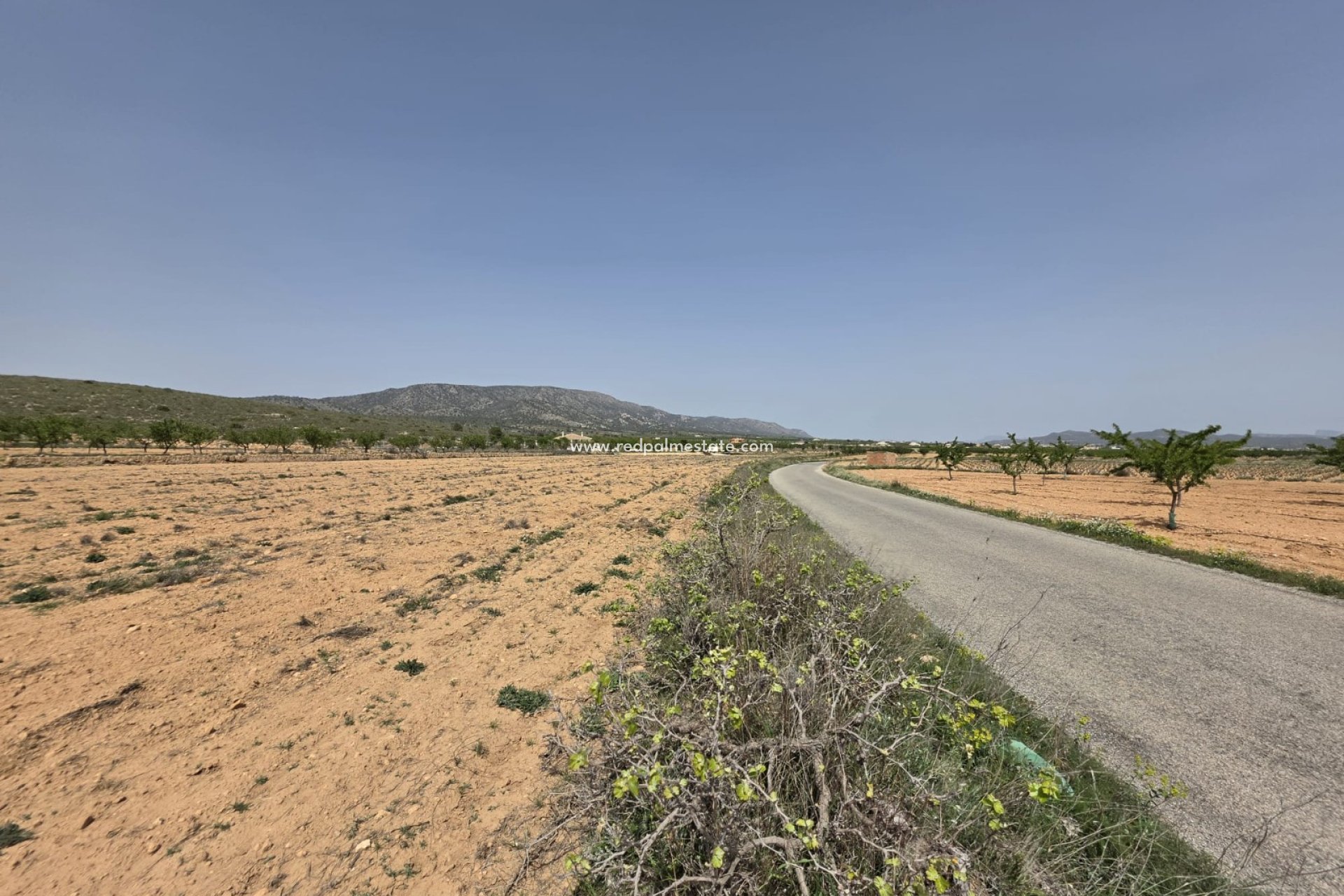 Reventa - Trama -
Pinoso - Inland