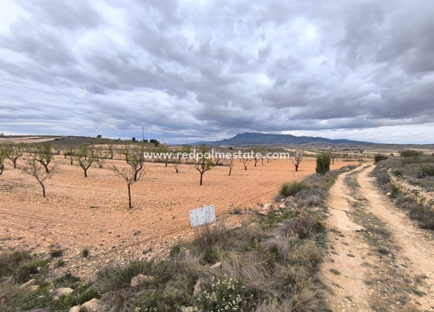 Reventa - Trama -
Pinoso - Inland