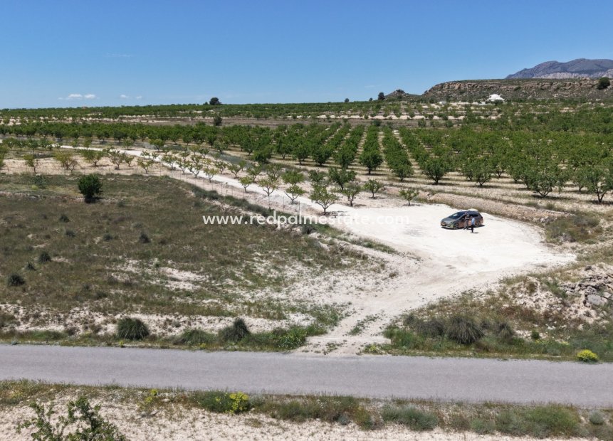 Reventa - Trama -
Pinoso - Inland