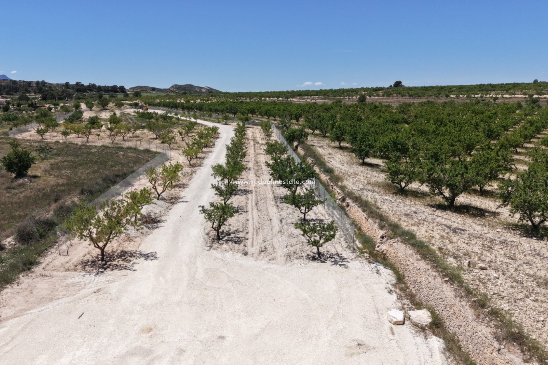 Reventa - Trama -
Pinoso - Inland