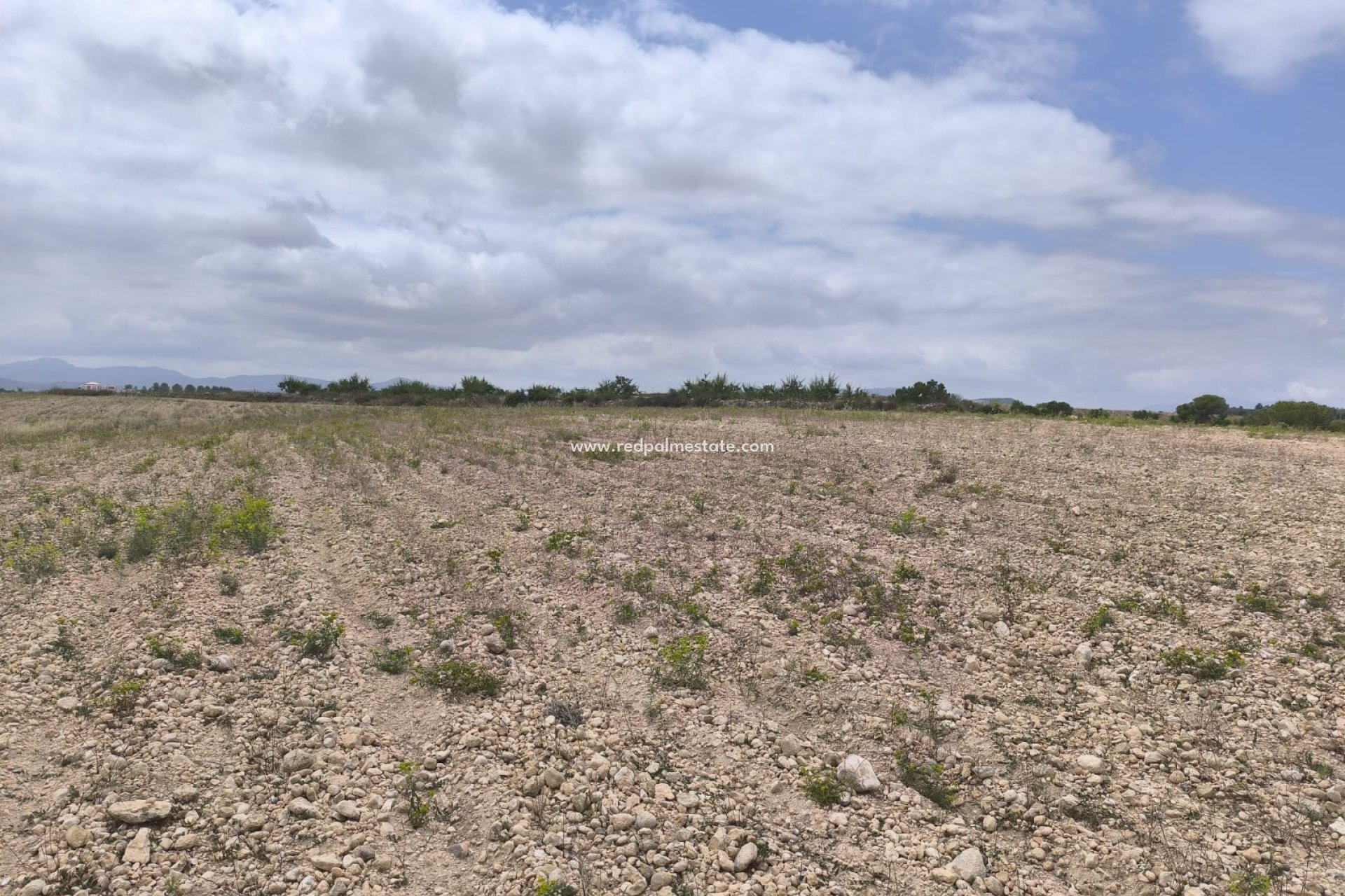 Reventa - Trama -
Pinoso - Inland