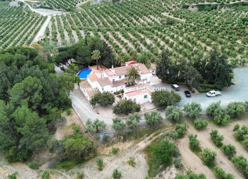 Reventa - Trama -
Puerto Lumbreras - Nogalte