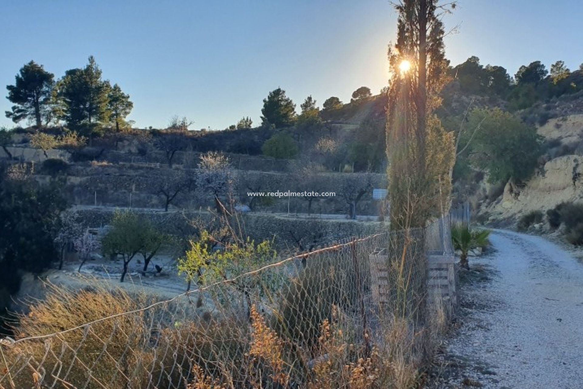 Reventa - Trama -
Relleu - Inland