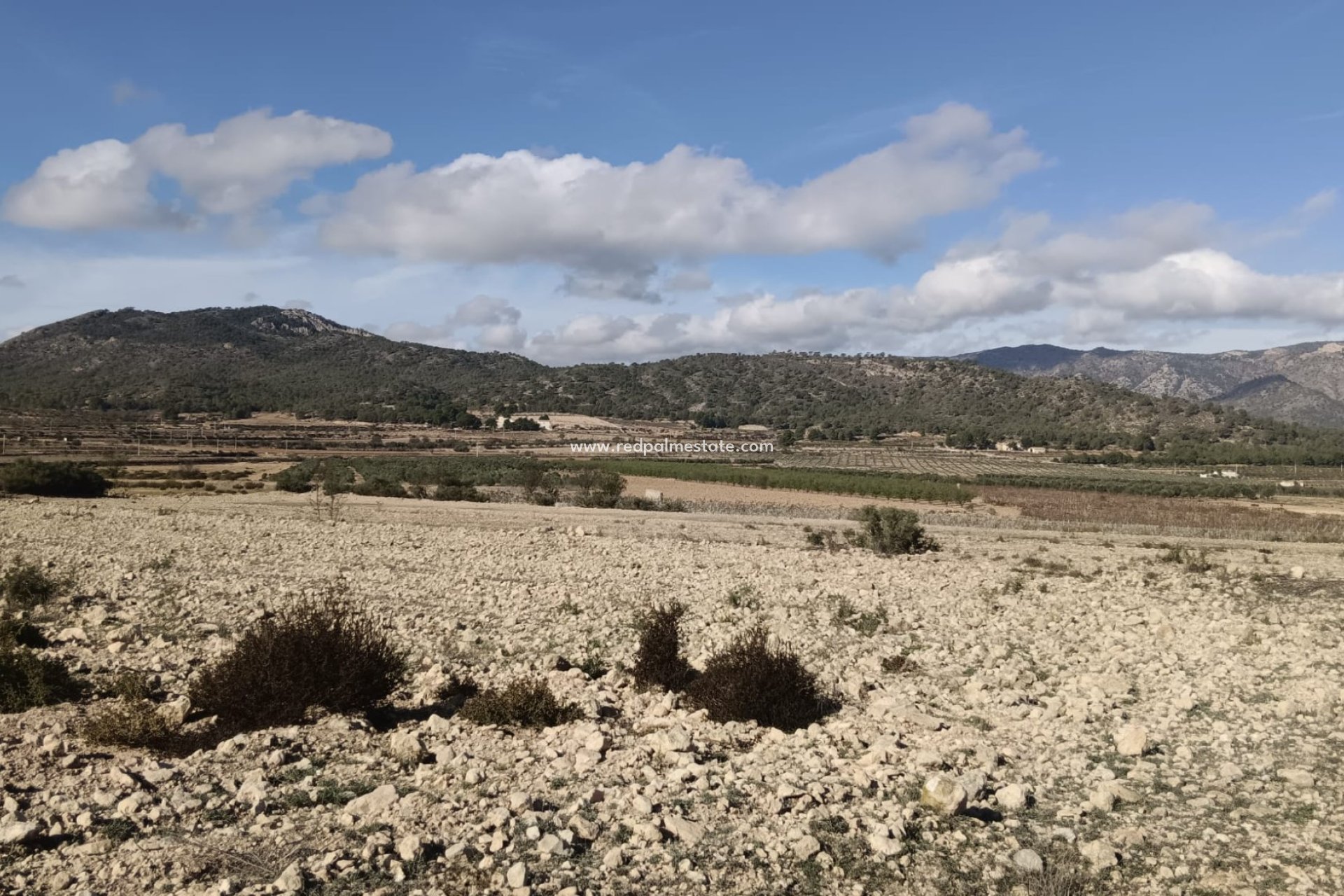 Reventa - Trama -
Salinas - Inland