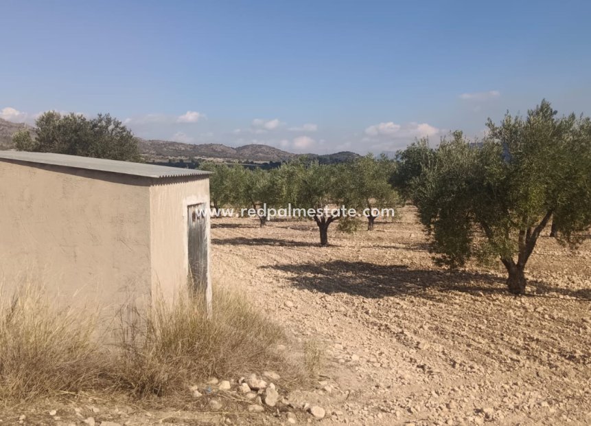 Reventa - Trama -
Salinas - Inland