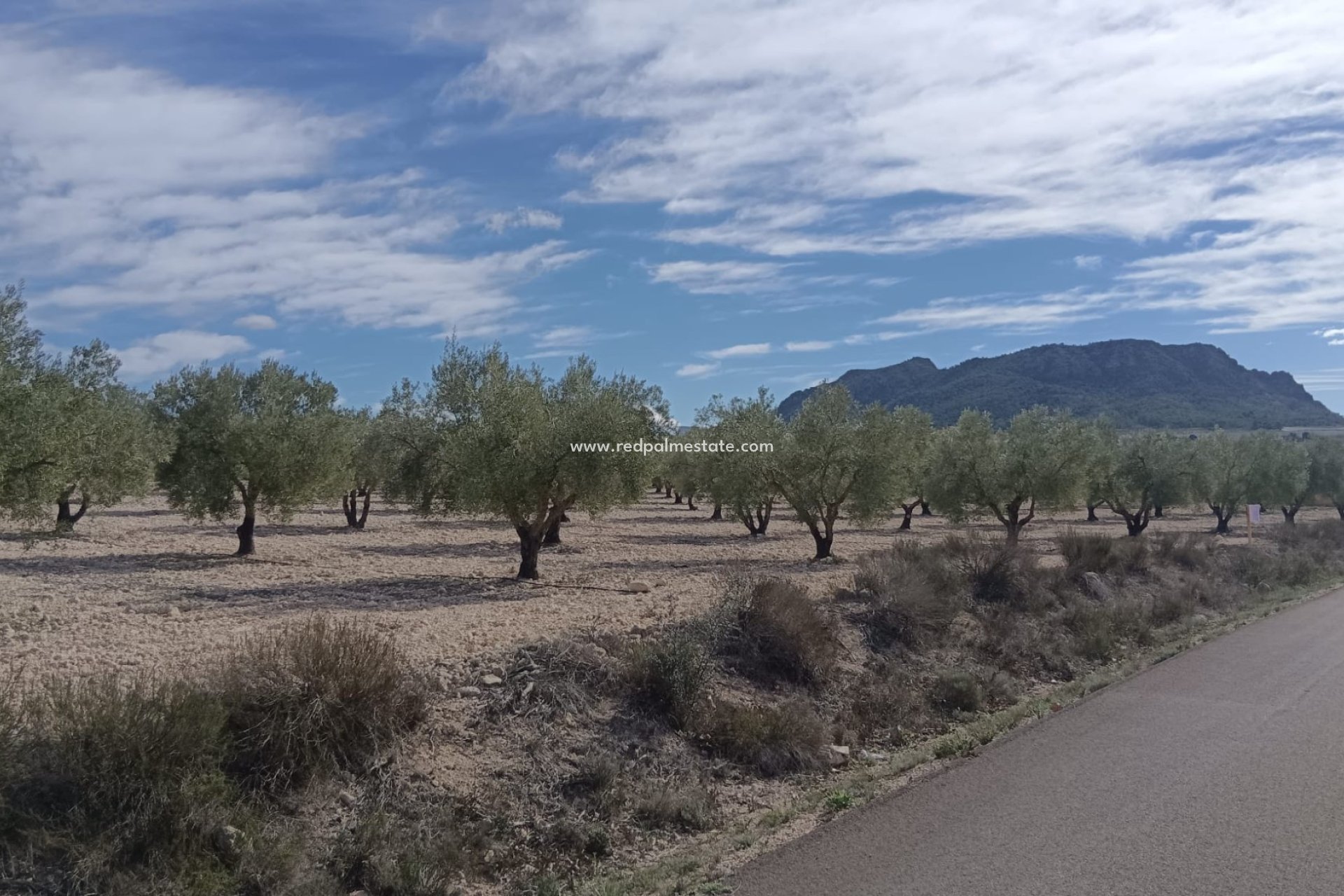 Reventa - Trama -
Salinas - Inland