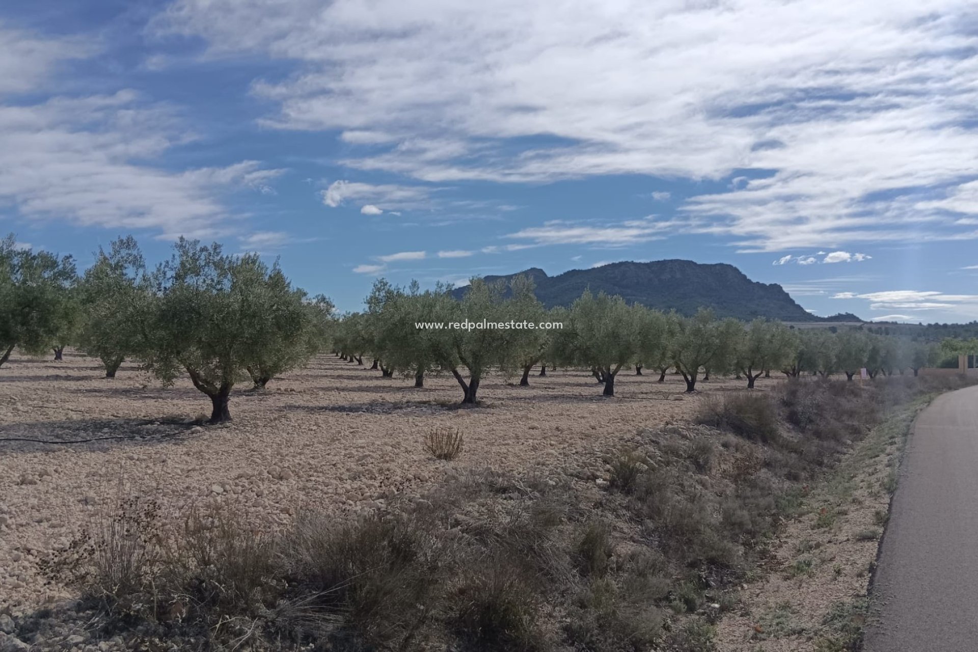 Reventa - Trama -
Salinas - Inland