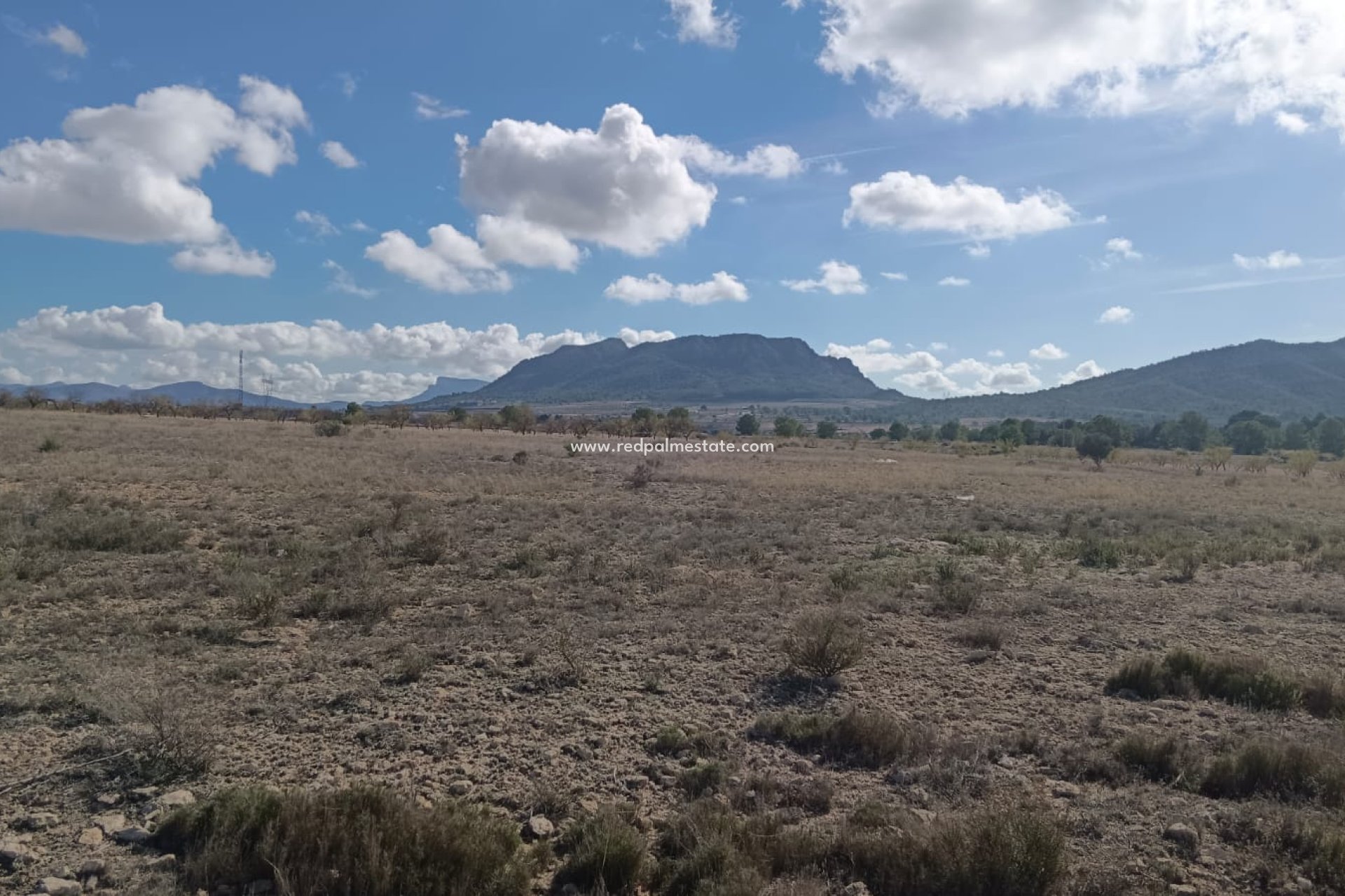 Reventa - Trama -
Salinas - Inland