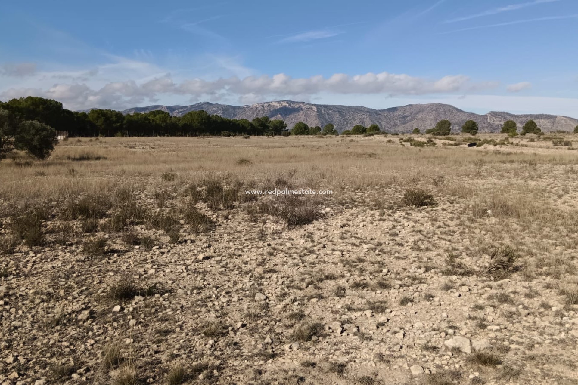 Reventa - Trama -
Salinas - Inland