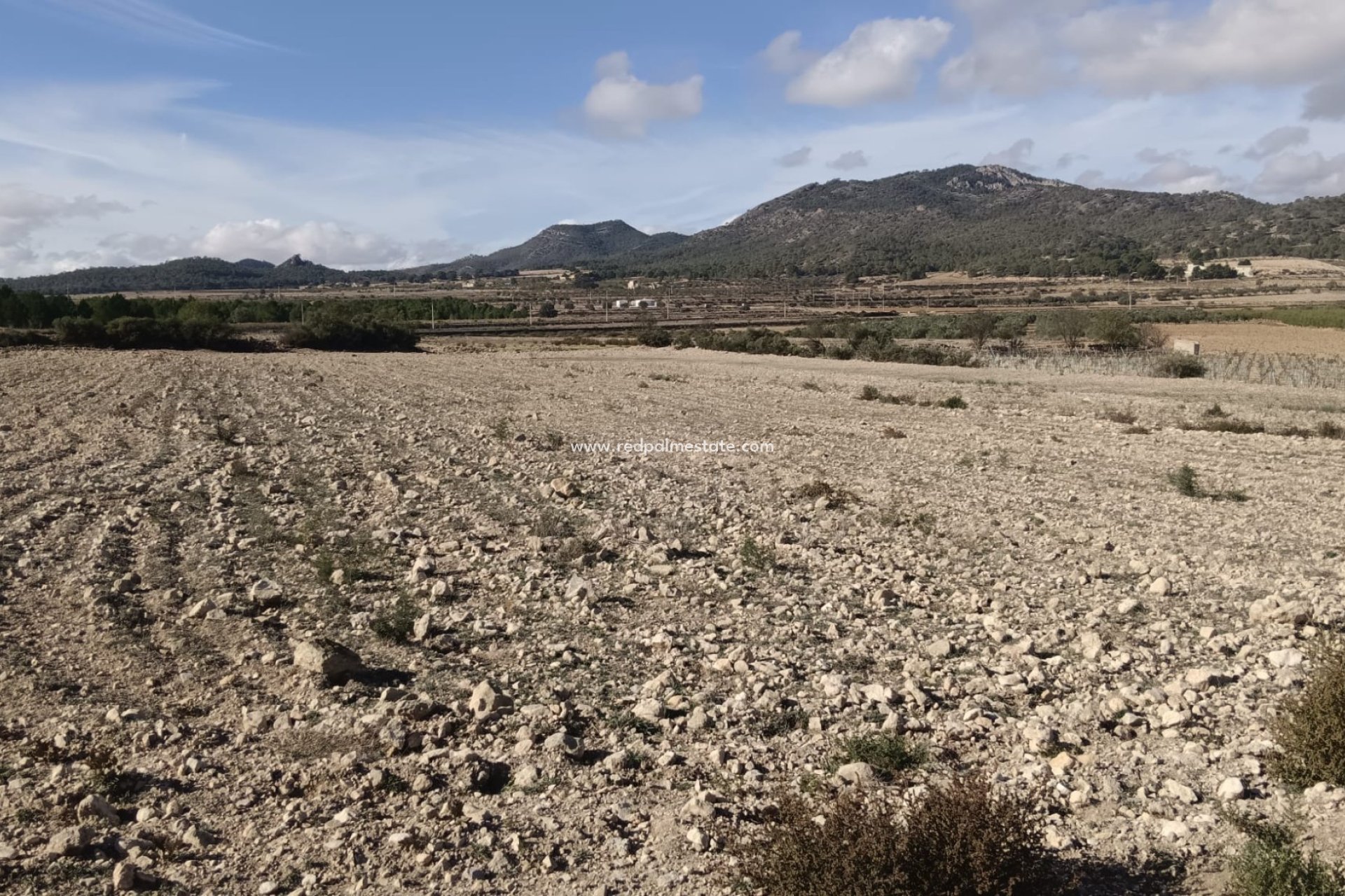 Reventa - Trama -
Salinas - Inland