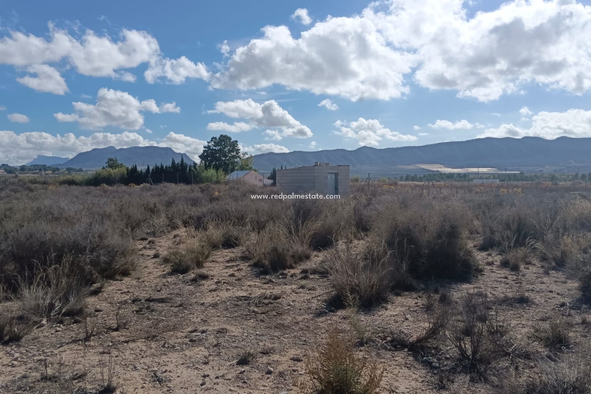 Reventa - Trama -
Salinas - Inland