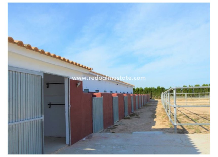 Reventa - Trama -
San Miguel de Salinas - Inland