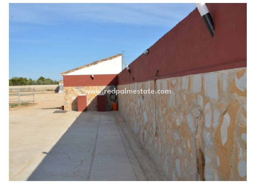 Reventa - Trama -
San Miguel de Salinas - Inland