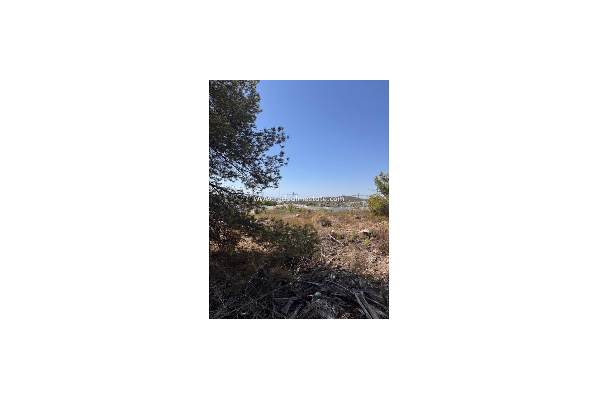 Reventa - Trama -
Sierra Cortina - Inland